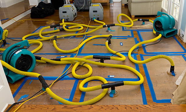 Professional Structural Drying And Dehumidification technician working in Claremont, NH